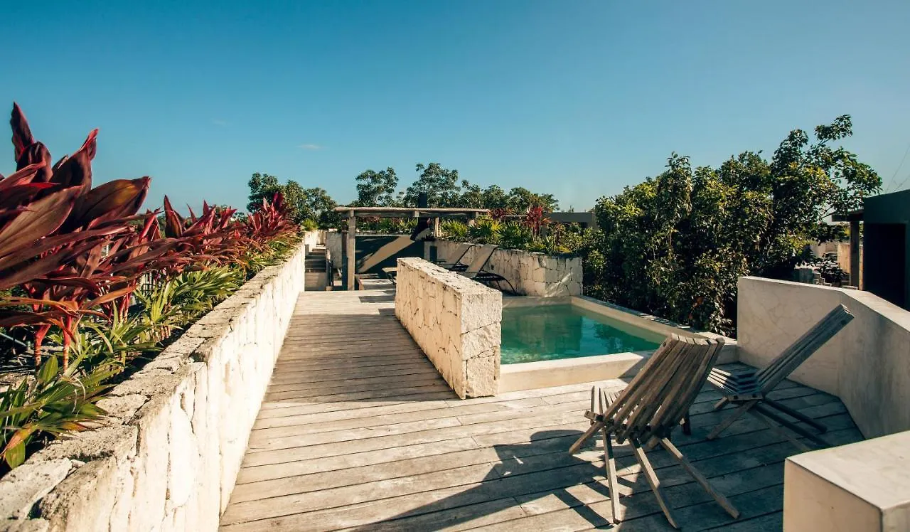 Vida Boho Apart 15 With Special Fee To Access Hotel Bardo Tulum Apartment